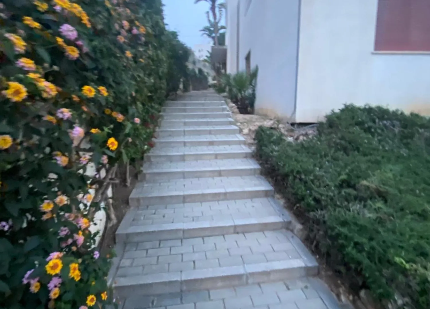 Cataleya Apartment Nerja